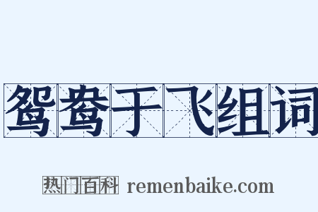 鸳鸯于飞组词是什么意思的图片